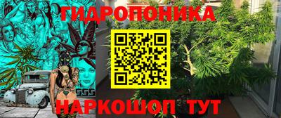 прущие грибы Баксан