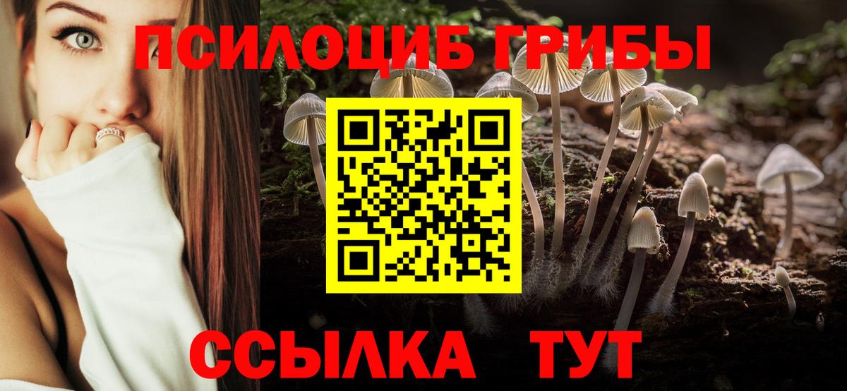Псилоцибиновые грибы Psilocybine cubensis Лыткарино